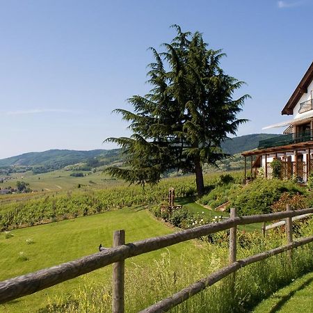 Le Clos Saint-Vincent Ribeauville  Exterior photo