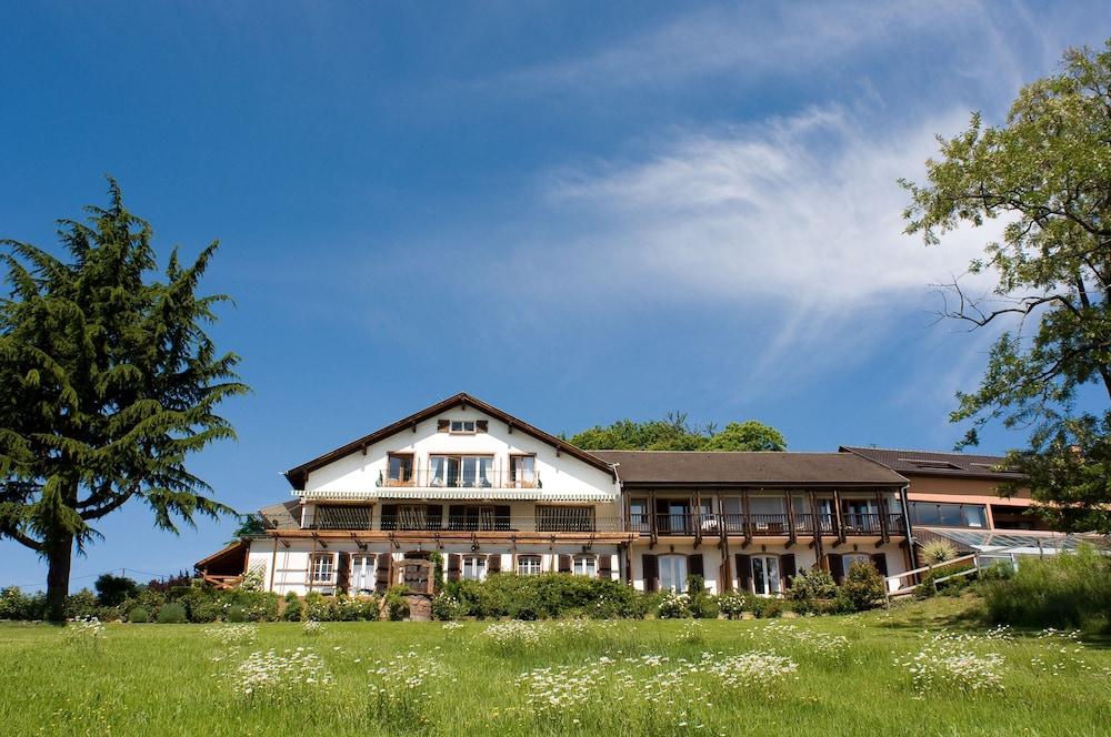 Le Clos Saint-Vincent Ribeauville  Exterior photo