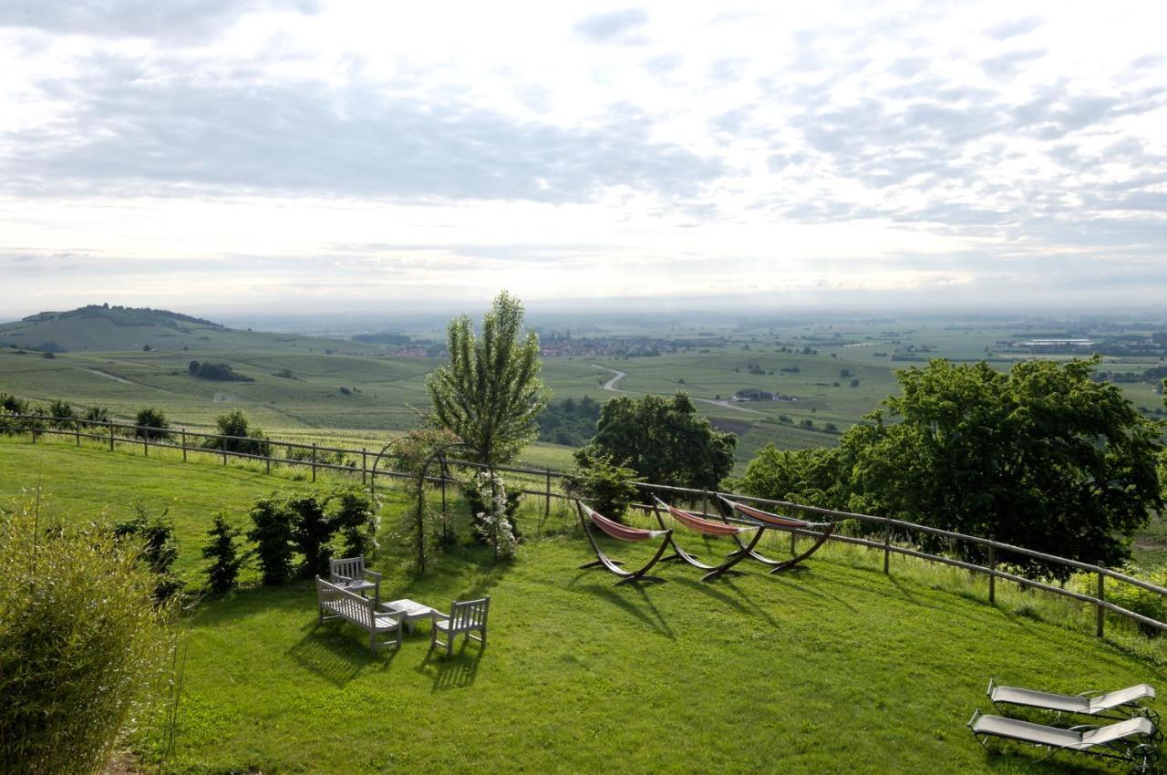 Le Clos Saint-Vincent Ribeauville  Exterior photo