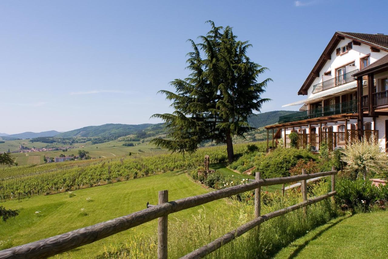 Le Clos Saint-Vincent Ribeauville  Exterior photo